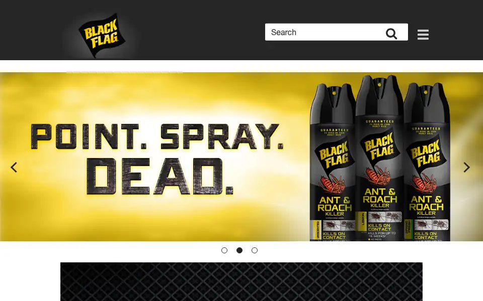 Screenshot of blackflag.com