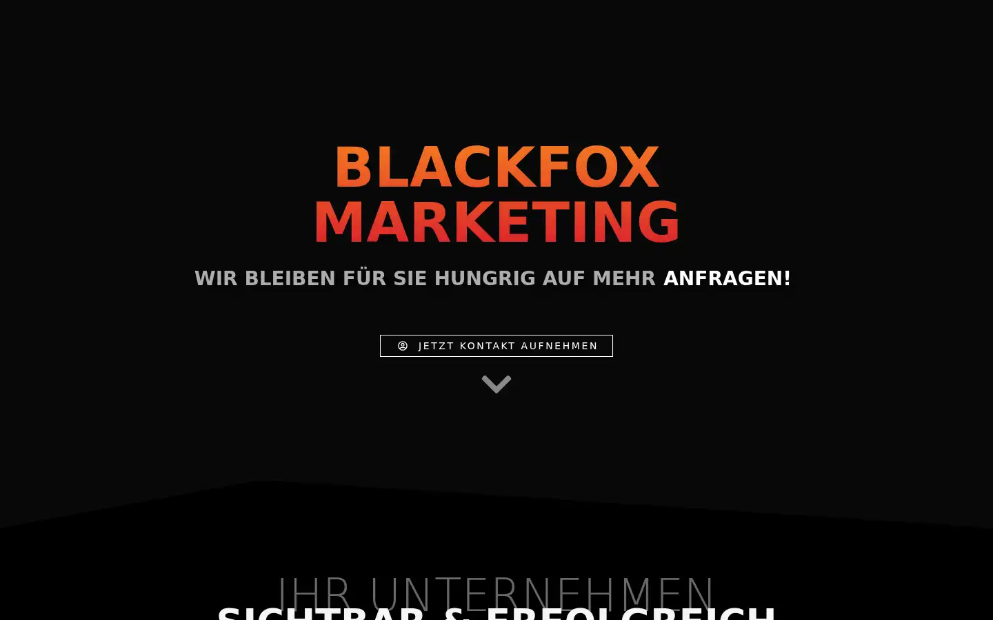 Screenshot of blackfox-marketing.de