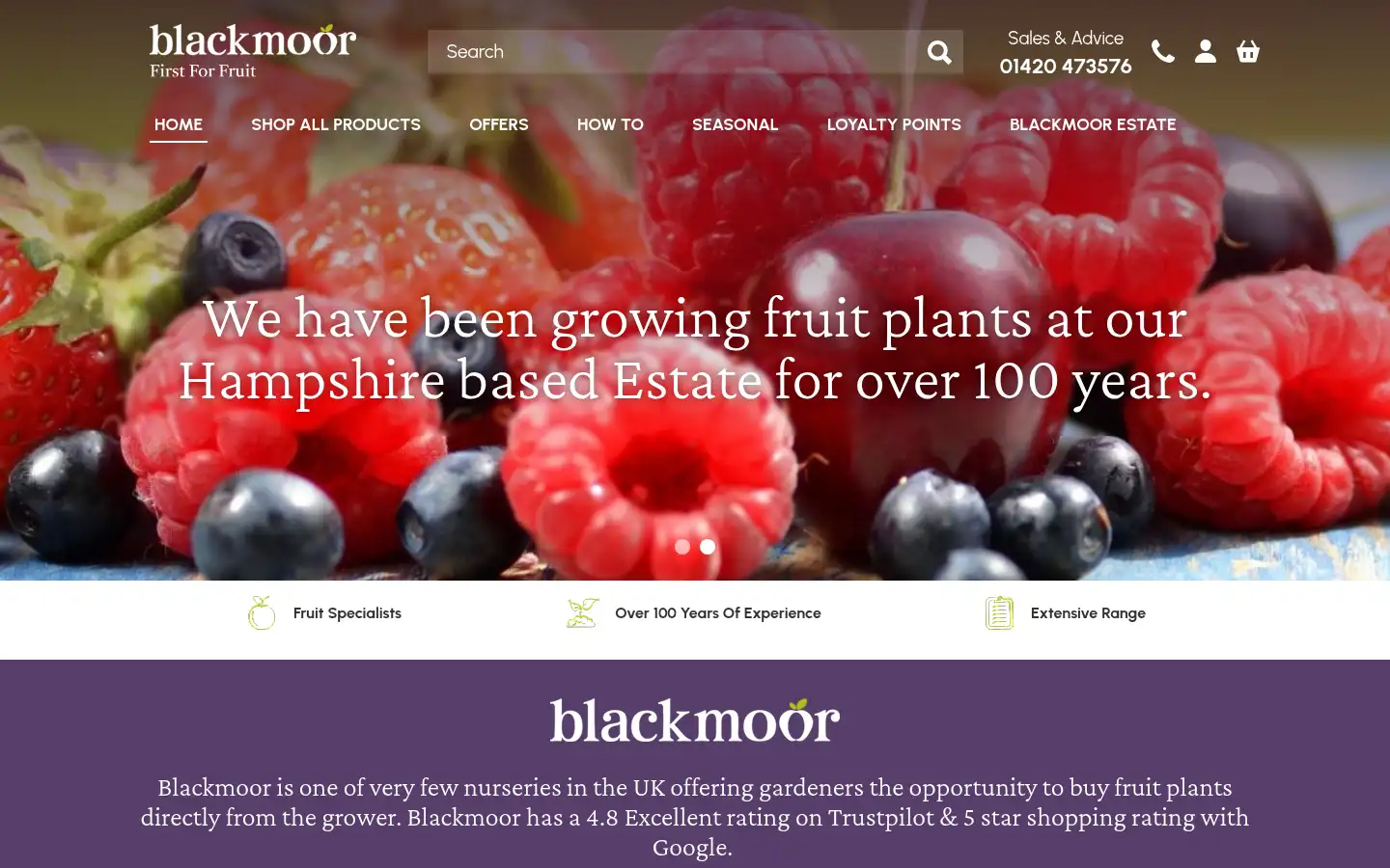 Screenshot of blackmoor.co.uk