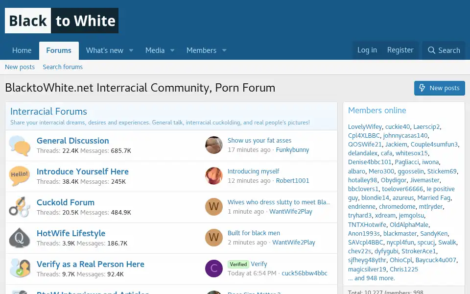 Screenshot of blacktowhite.net