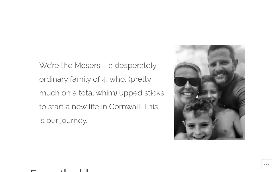 Screenshot of blankednickboltholes.com