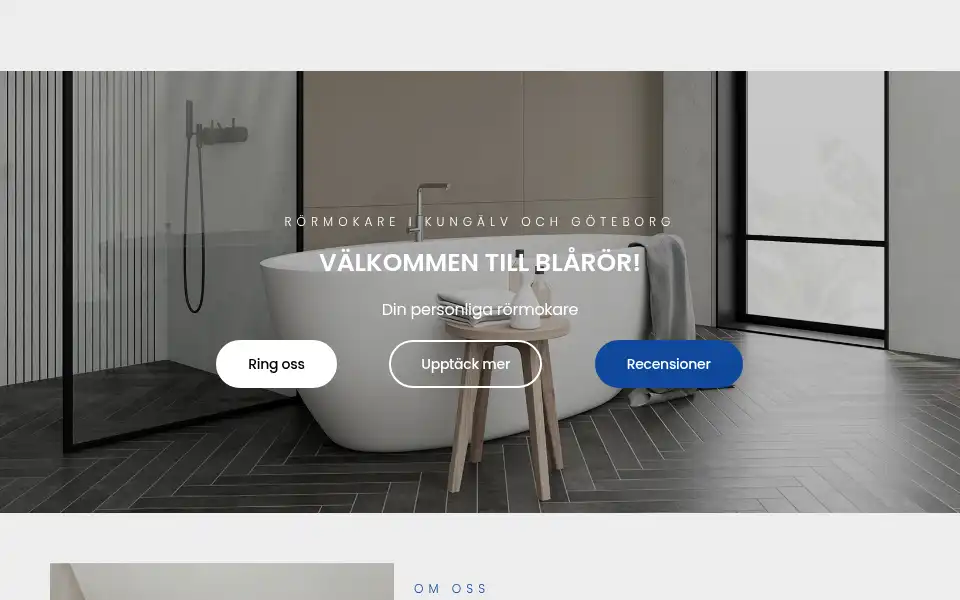 Screenshot of blaror.nu