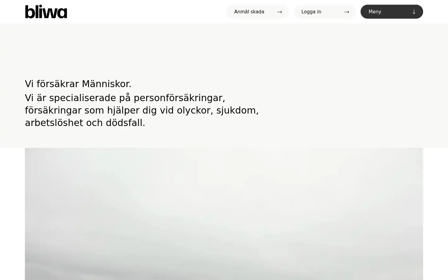 Screenshot of bliwa.se