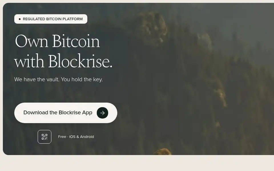 Screenshot of blockrise.com