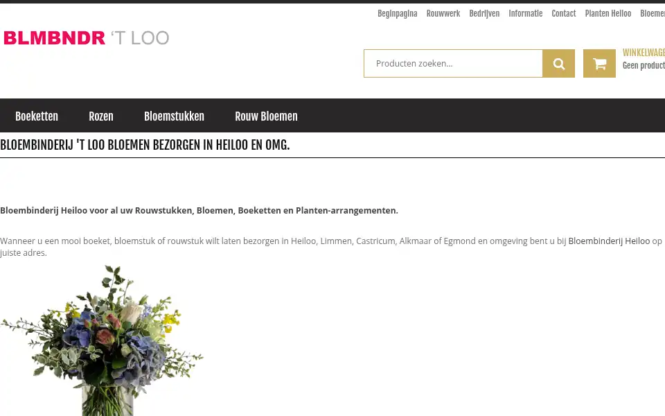 Screenshot of bloembinderijheiloo.securearea.eu