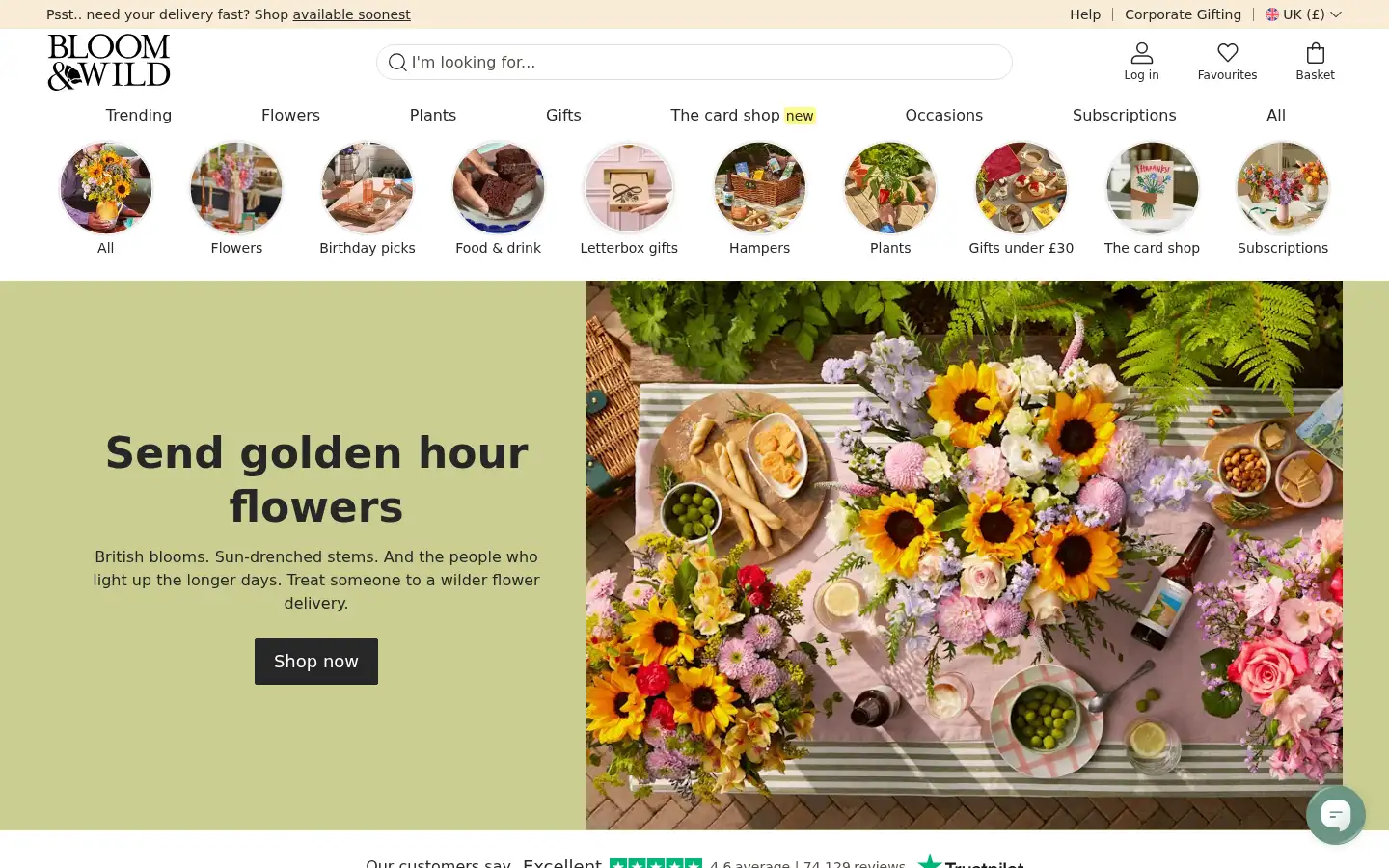 Screenshot of bloomandwild.com