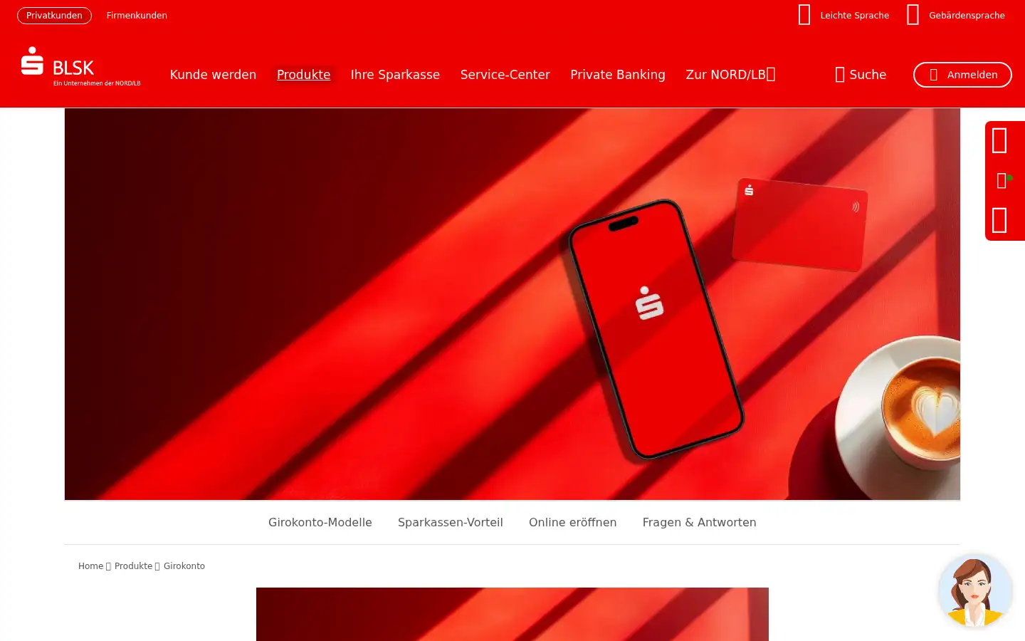 Screenshot of blsk.de