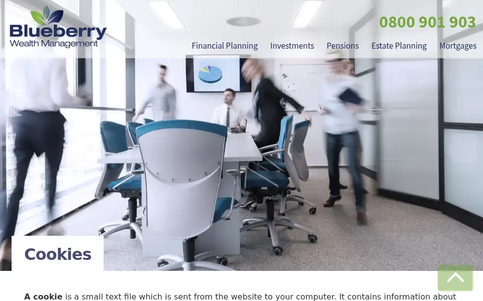 Screenshot of blueberrywealth.co.uk