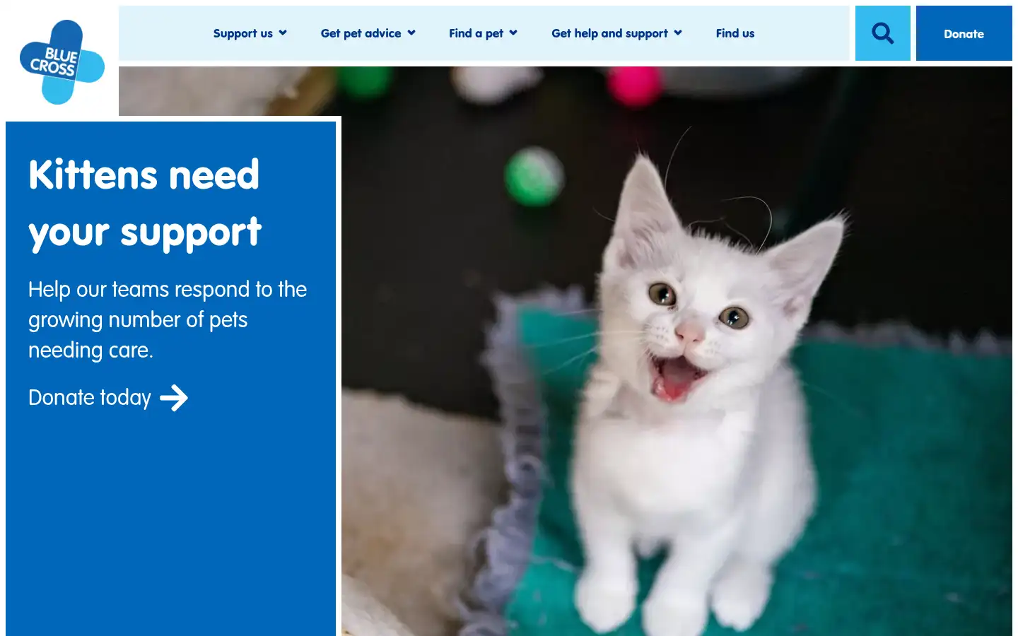 Screenshot of bluecross.org.uk