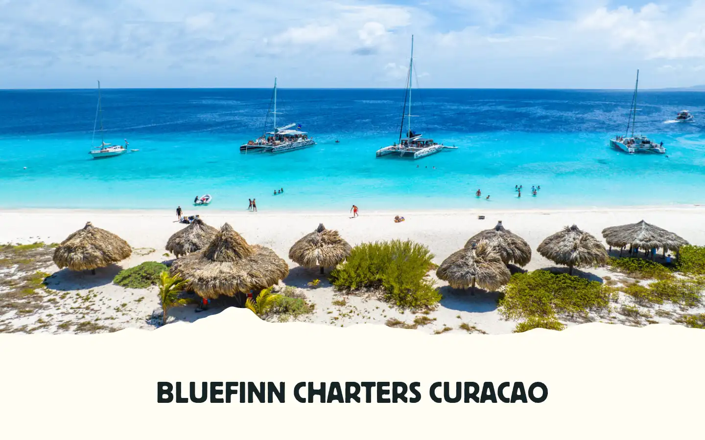 Screenshot of bluefinncharters.com