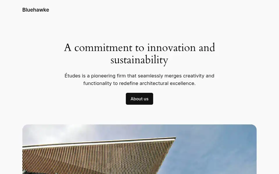 Screenshot of bluehawke.com