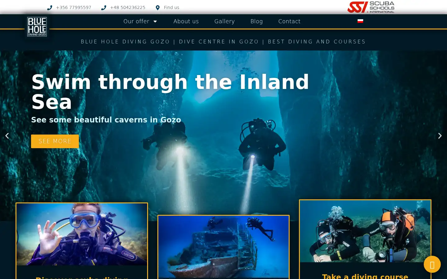 Screenshot of blueholediving.com