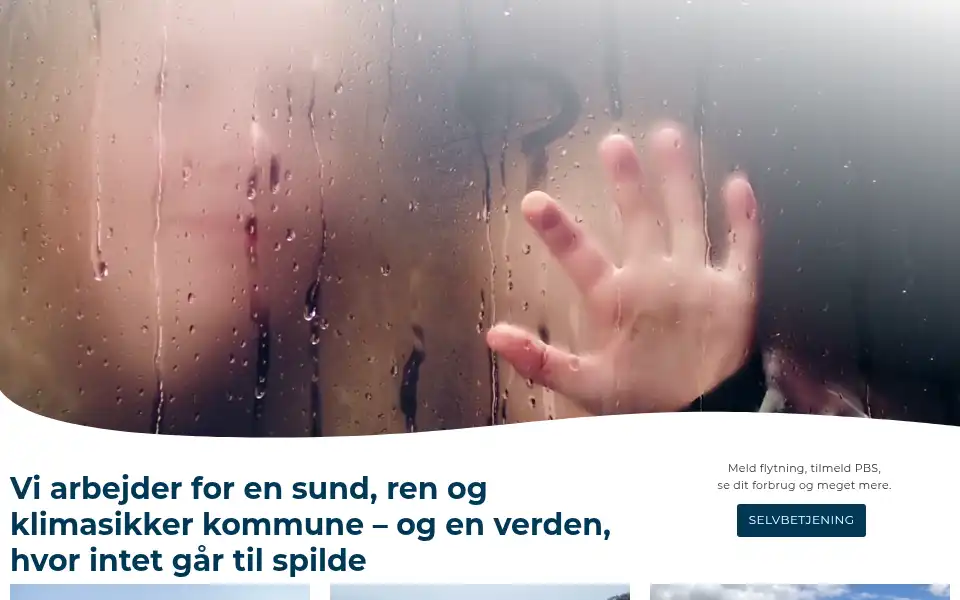 Screenshot of bluekolding.dk