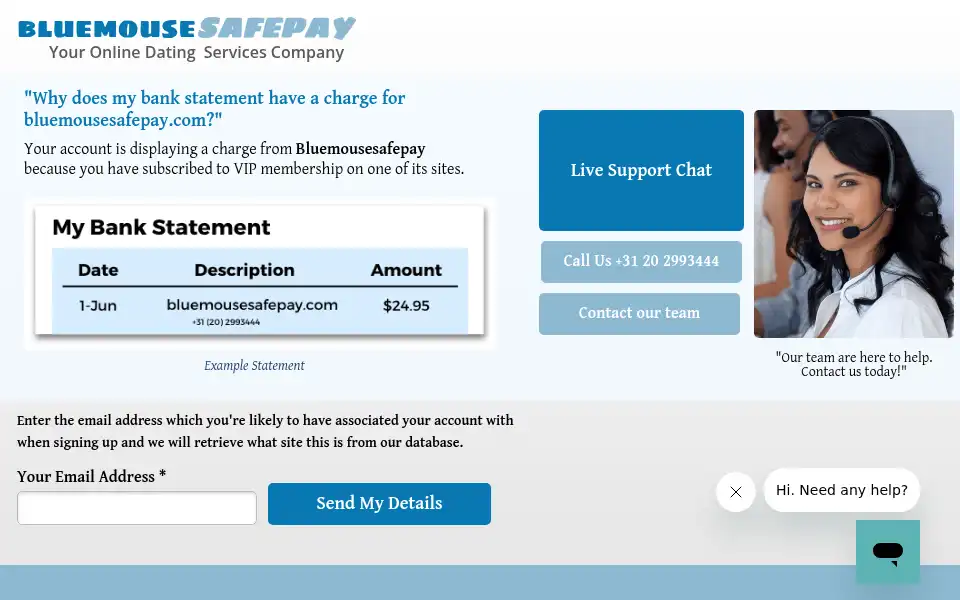 Screenshot of bluemousesafepay.com