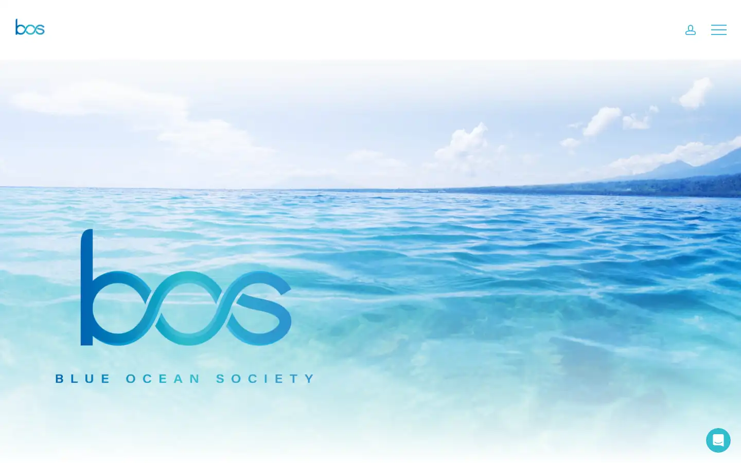 Screenshot of blueoceansociety.club