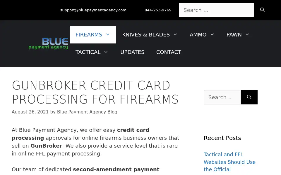 Screenshot of bluepaymentagency.com