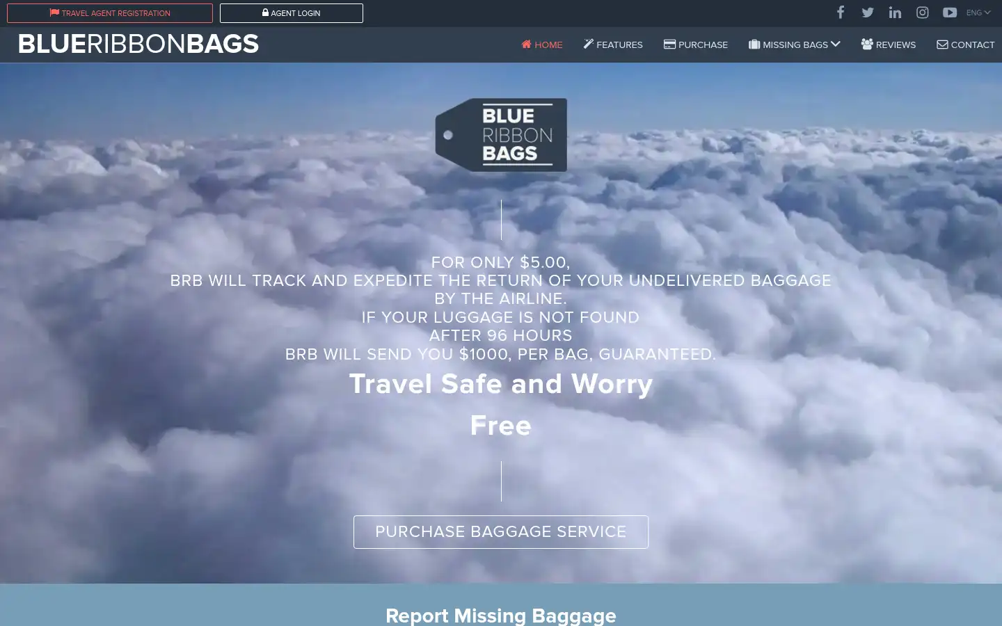 Screenshot of blueribbonbags.com