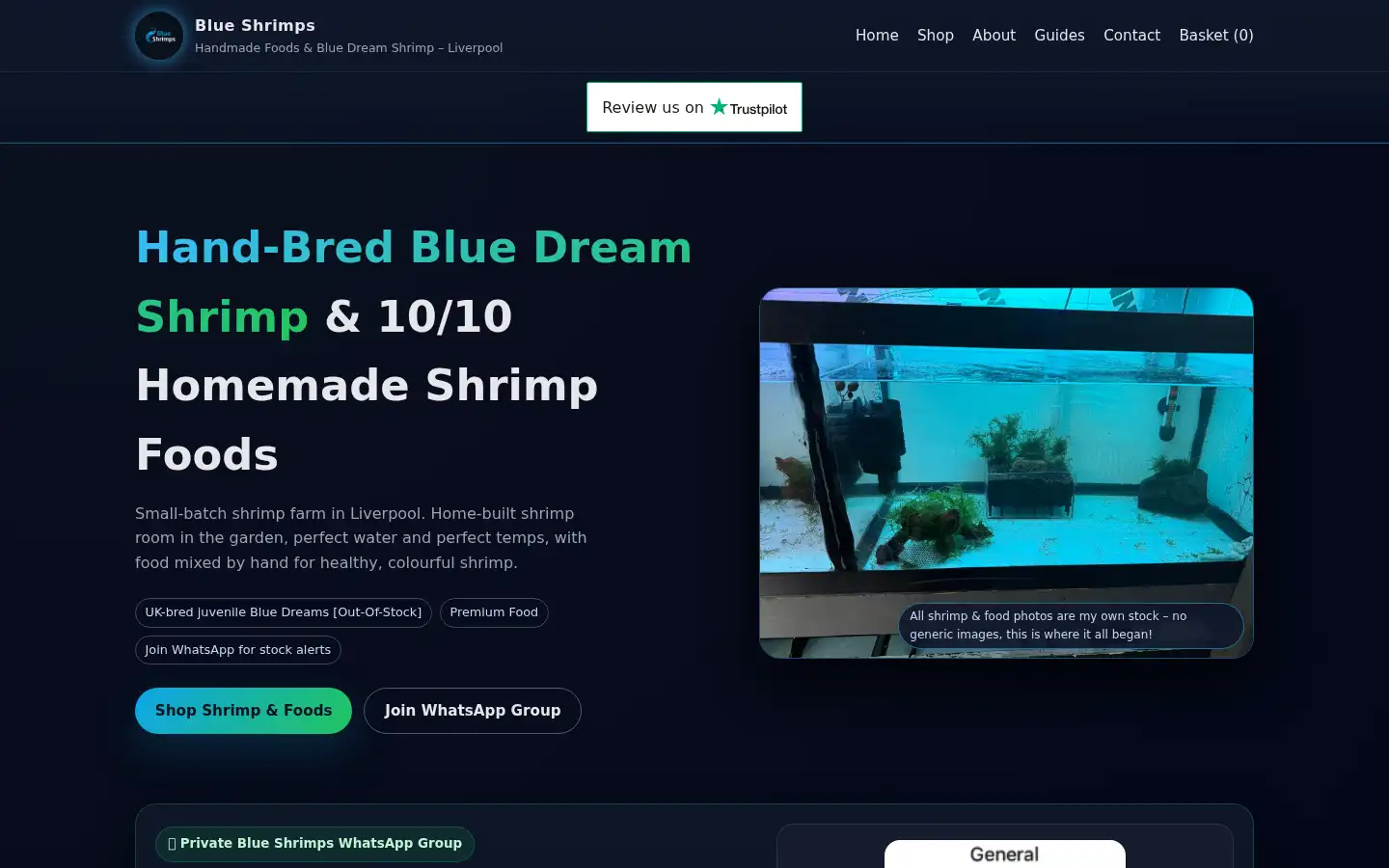 Screenshot of blueshrimps.co.uk