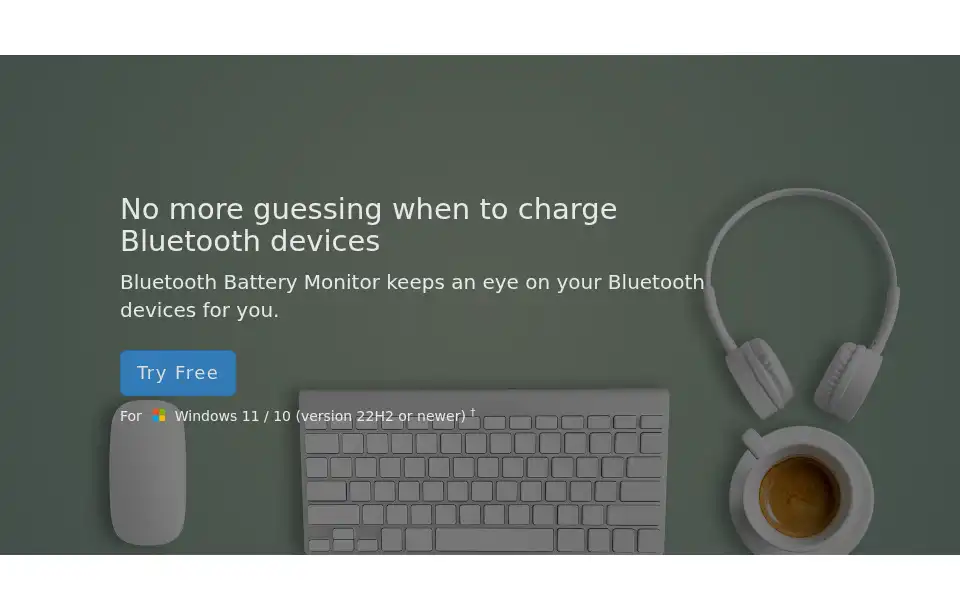 Screenshot of bluetoothgoodies.com