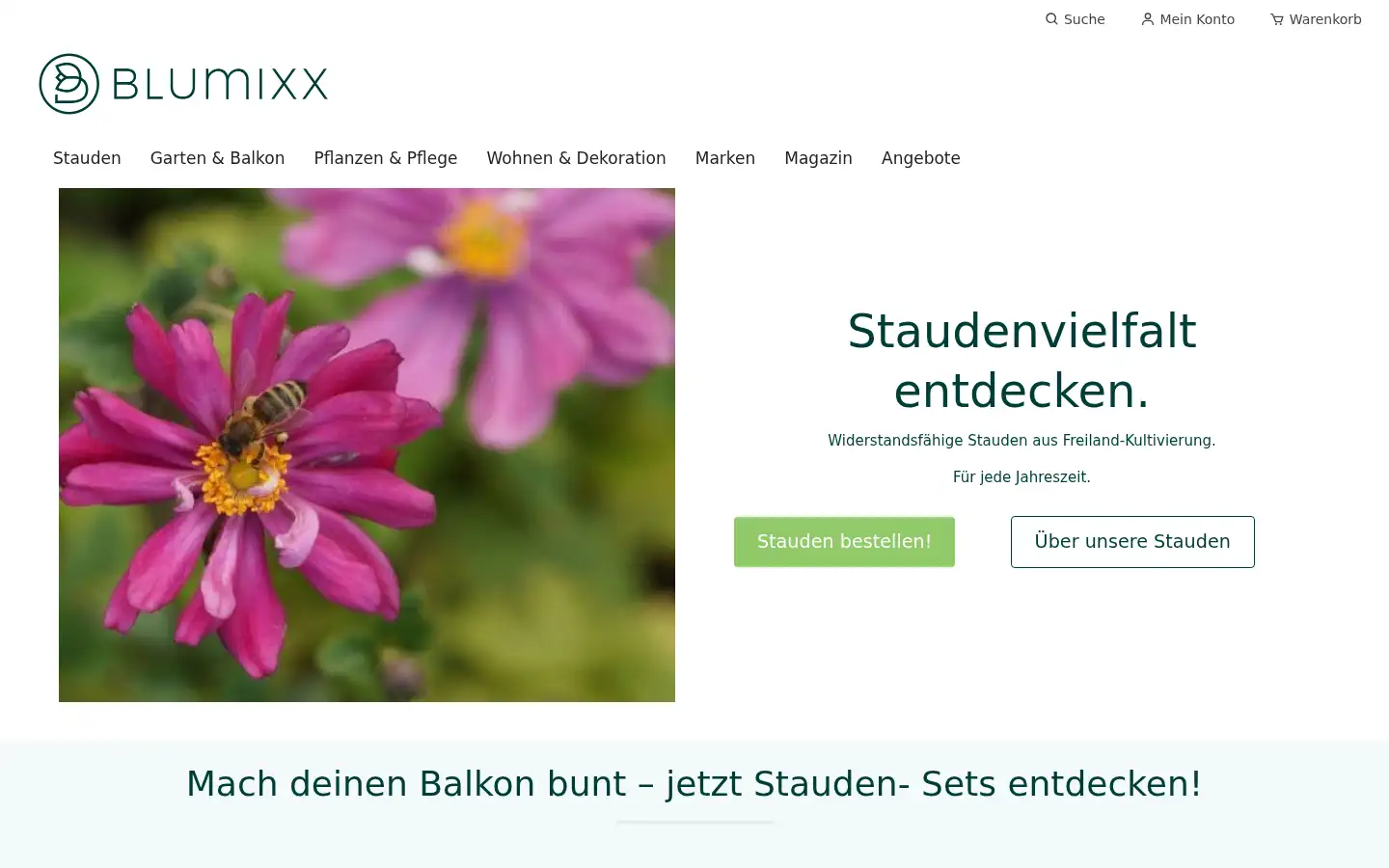 Screenshot of blumixx.de