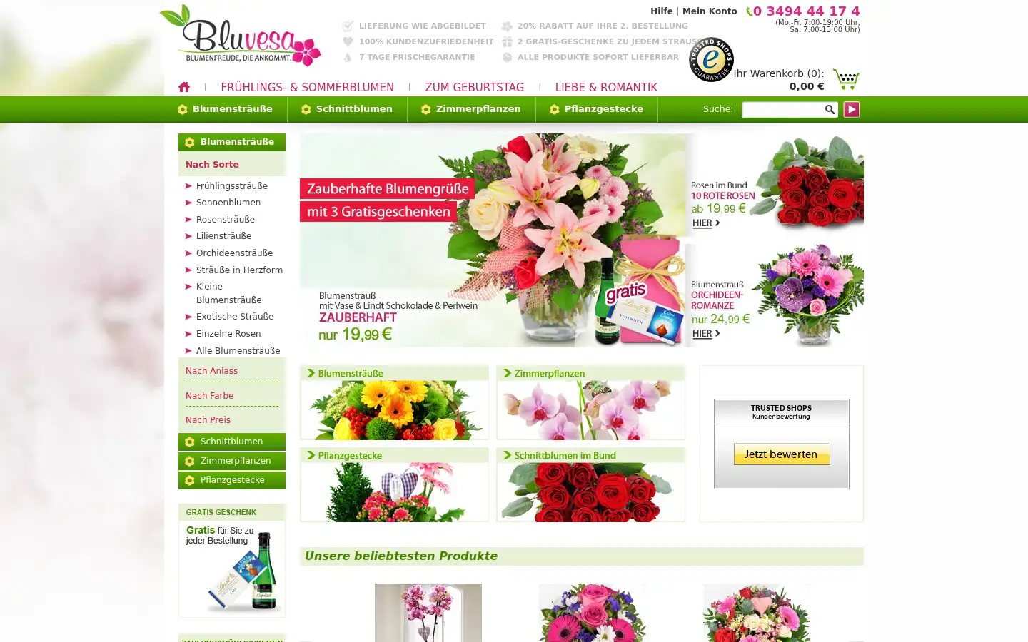 Screenshot of bluvesa.de