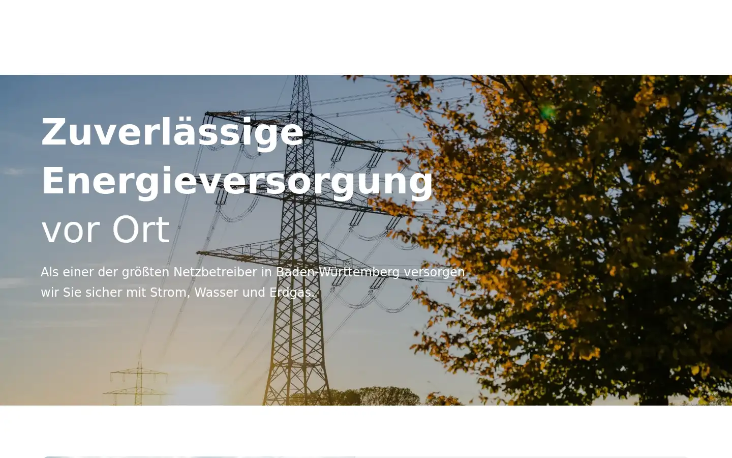 Screenshot of bnnetze.de