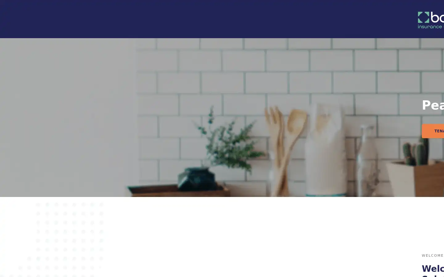 Screenshot of bodeinsurancesolutions.co.uk