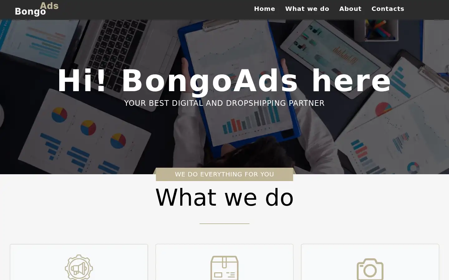 Screenshot of bongoadslimited.com