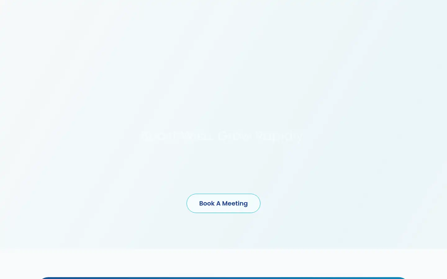 Screenshot of boostwise.agency