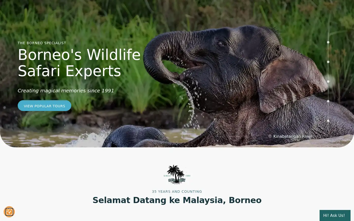 Screenshot of borneoecotours.com