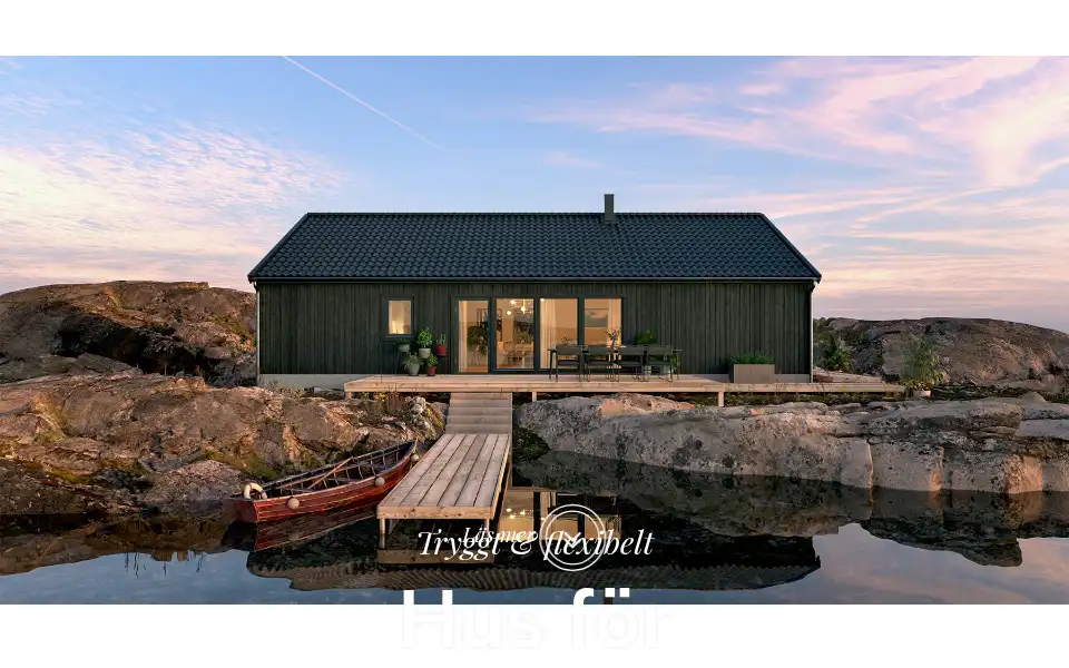 Screenshot of borohus.dk