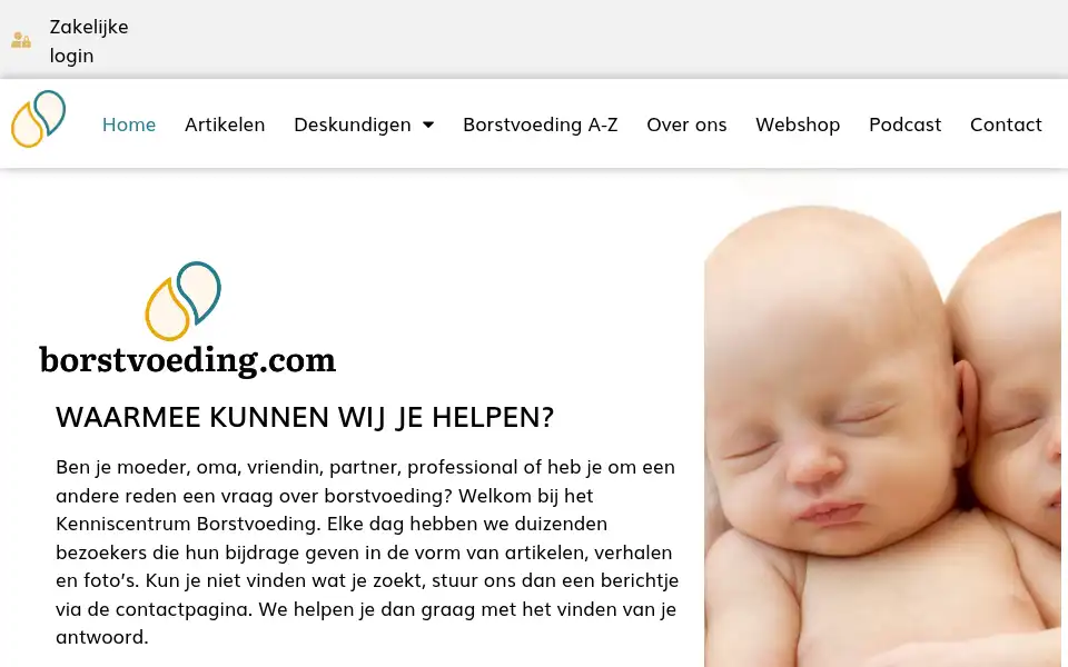 Screenshot of borstvoeding.com