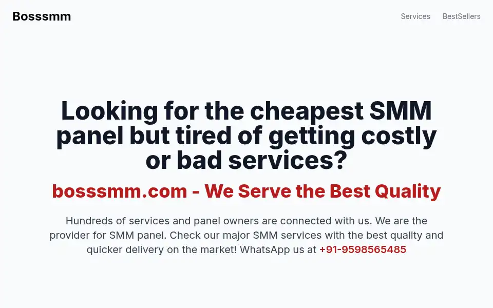 Screenshot of bosssmm.com