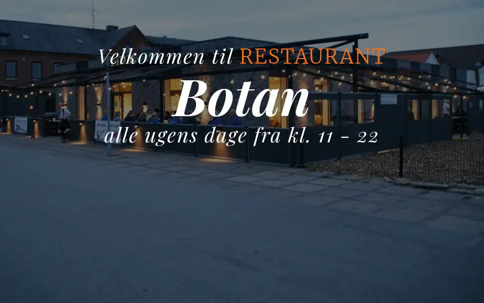 Screenshot of botan.dk