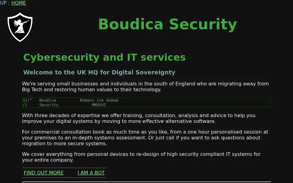 Screenshot of boudicasecurity.com
