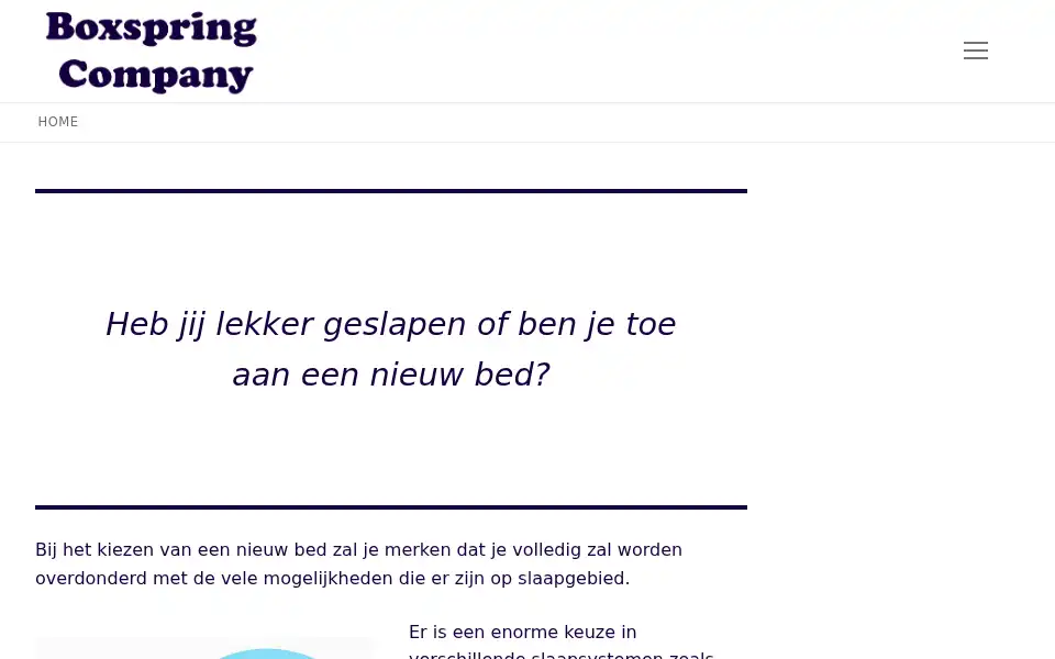Screenshot of boxspringcompany.com