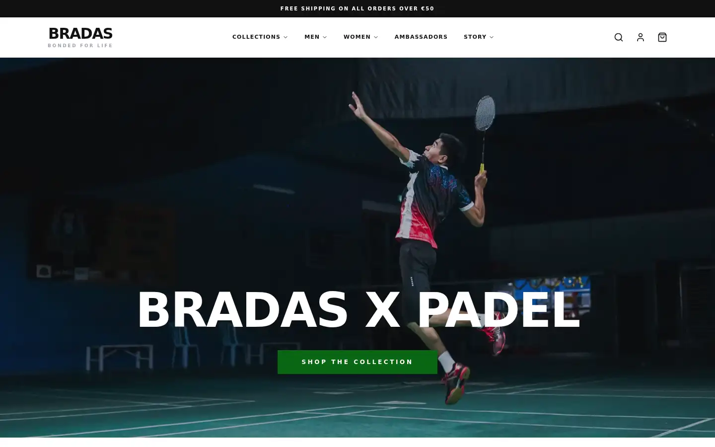 Screenshot of bradasstore.com