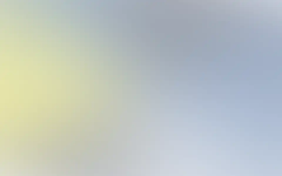 Screenshot of braid.health