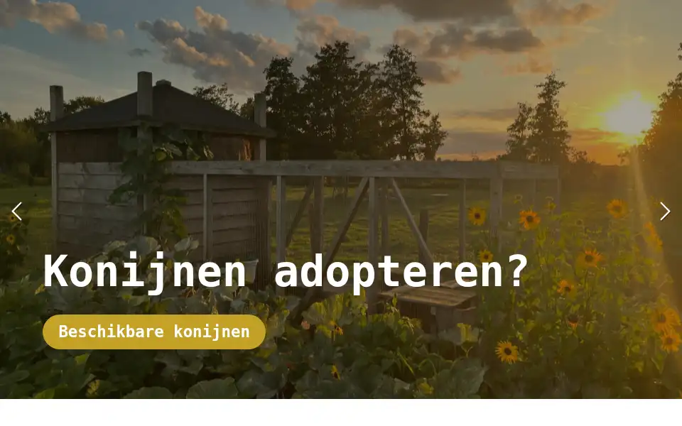 Screenshot of bramsrabbits.nl