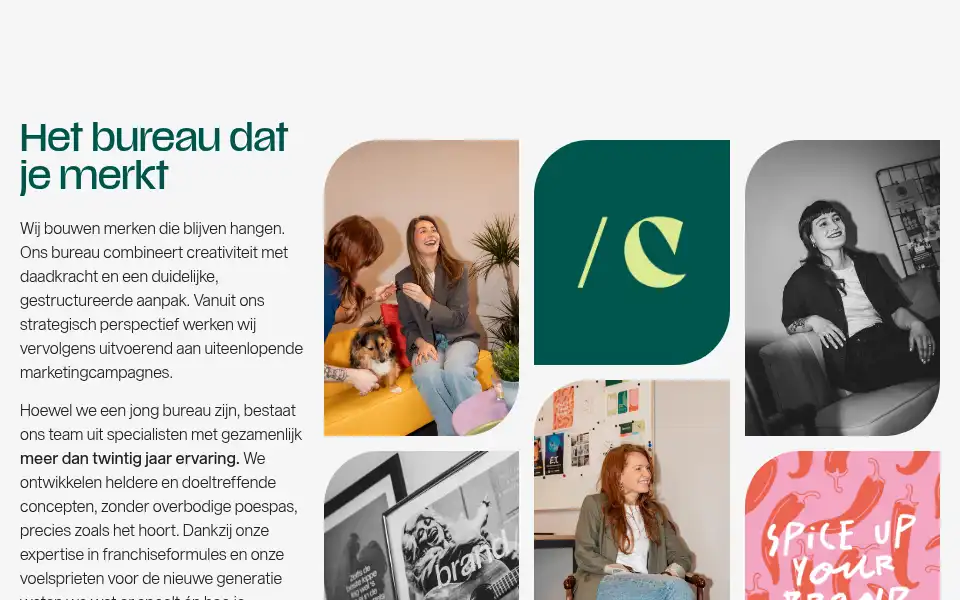Screenshot of brandc.nl
