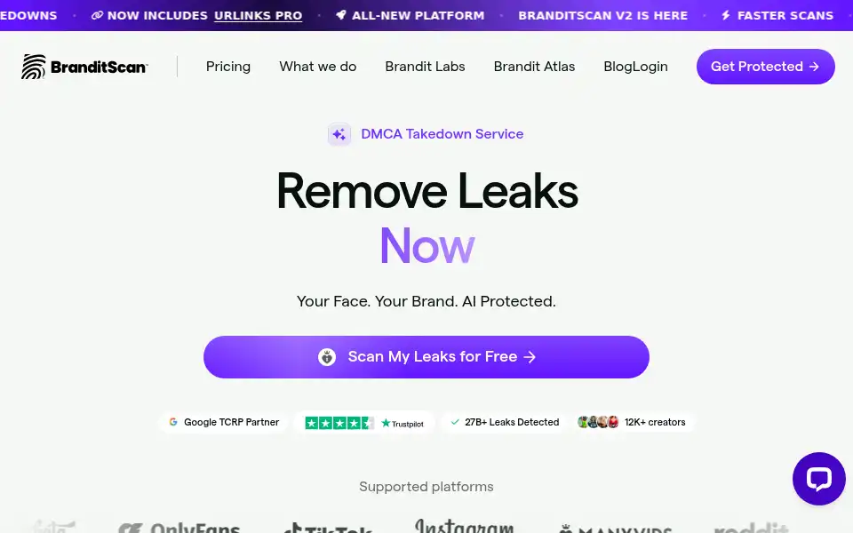 Screenshot of branditscan.com