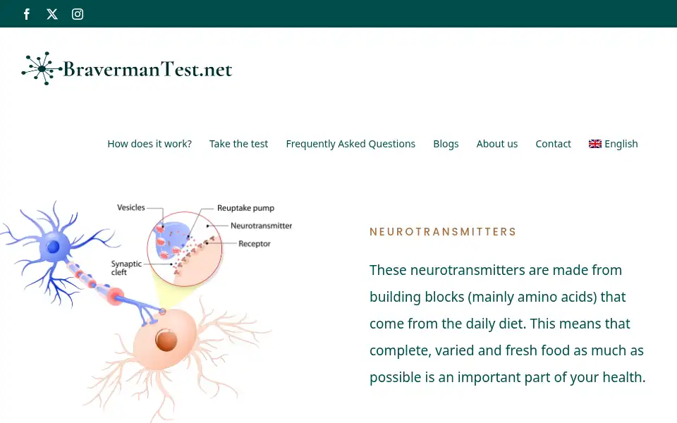 Screenshot of bravermantest.net