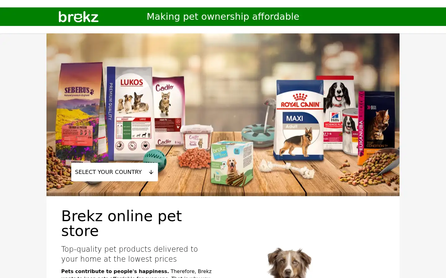 Screenshot of brekz.com