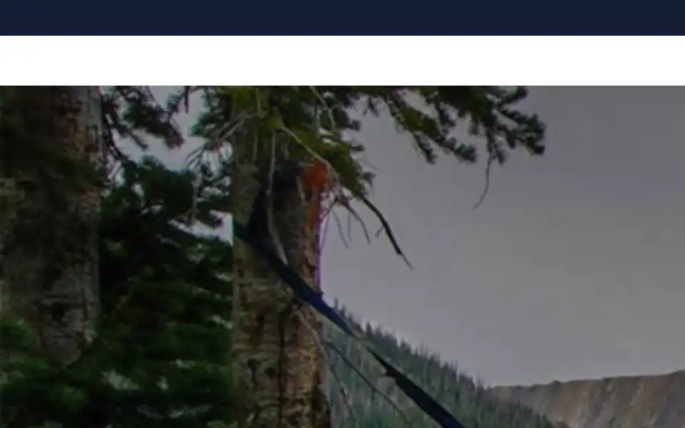 Screenshot of bressendentravel.com
