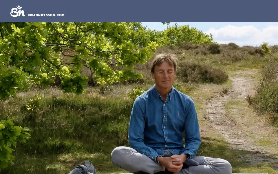 Screenshot of briannielsson.com