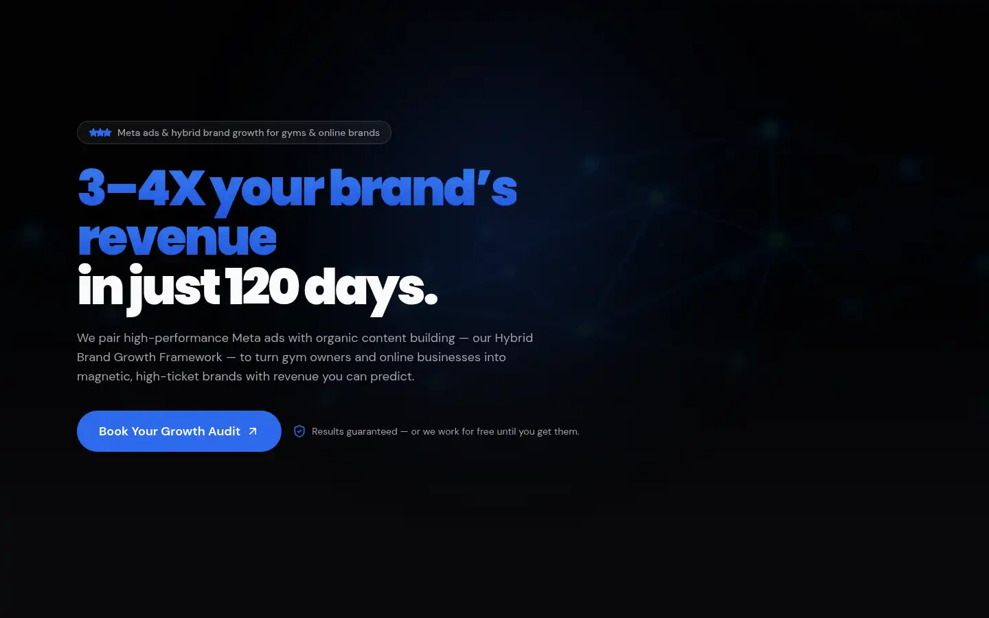 Screenshot of bridgednamarketing.in
