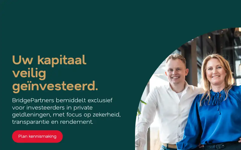 Screenshot of bridgepartners.nl