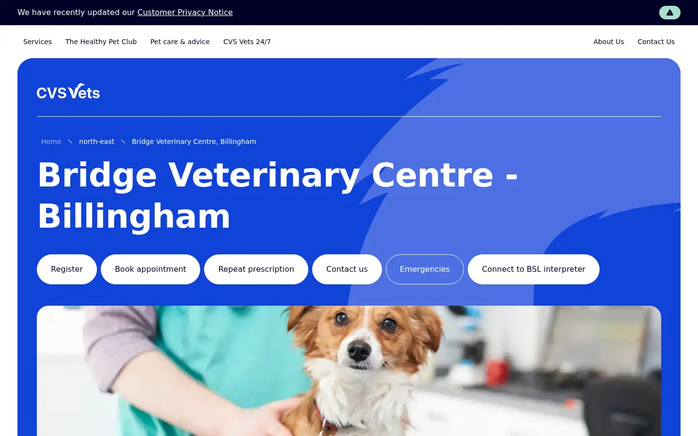 Screenshot of bridgeveterinarygroup.co.uk