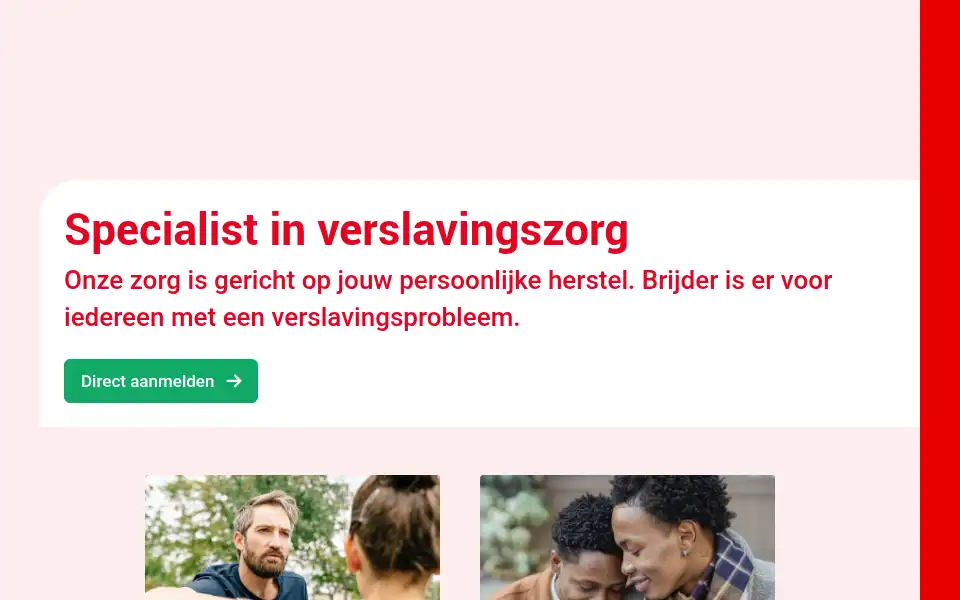 Screenshot of brijder.nl