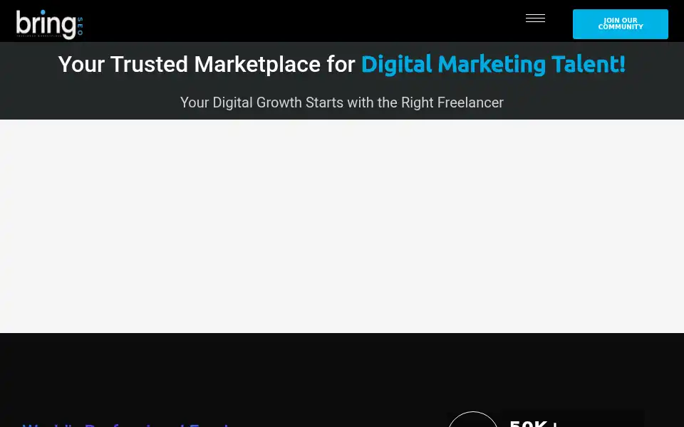 Screenshot of bringseo.com